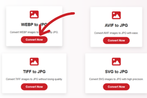 Click on the 'Convert Now' button to start converting WEBP to JPG