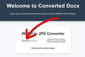 Choose the WEBP image file you want to convert to JPG