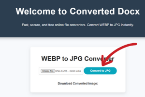 Click the 'Convert to JPG' button to begin converting WEBP to JPG