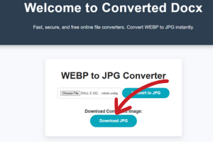 Download the converted JPG image after WEBP to JPG conversion