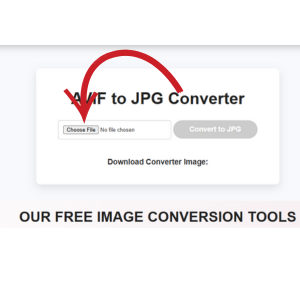 Choose the AVIF image file you want to convert to JPG