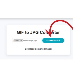 Click the 'Convert to JPG' button to begin converting GIF to JPG