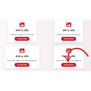 Click on the 'Convert Now' button to start converting SVG to JPG